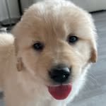 haeristagram 프로필 사진