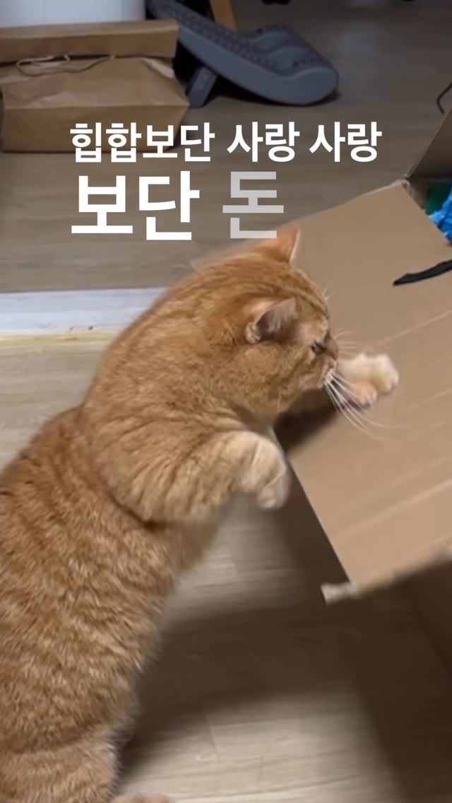 im_deokbae 게시물 이미지: 난 돈이나 벌래 #기부 

힙합보단 사랑 사랑보단 돈
돈이 많음 하나도 안...