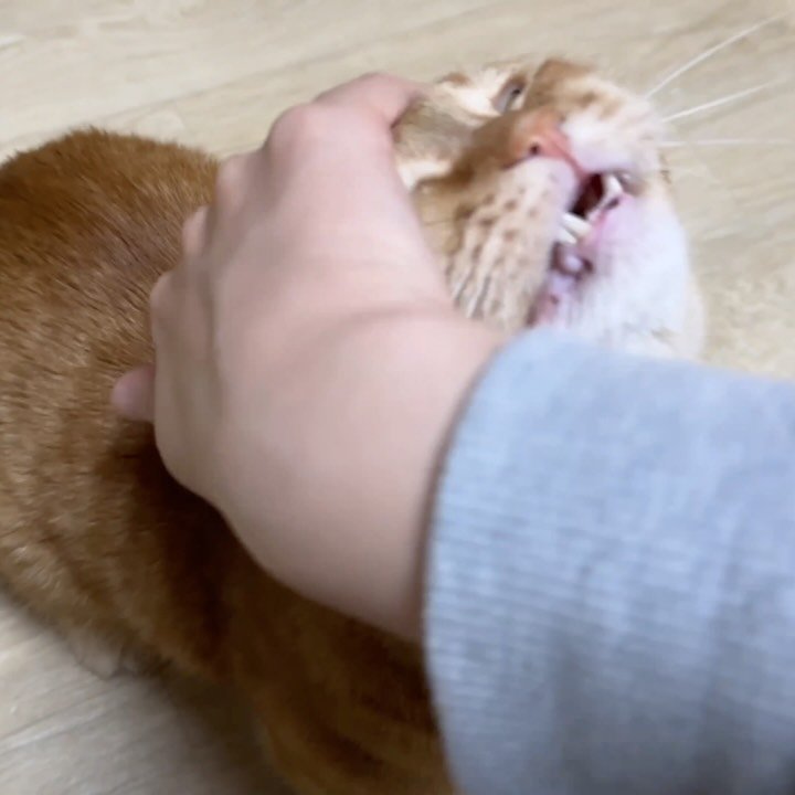 im_deokbae 게시물 이미지: 밥보다 궁팡이 먼저지!!!! 😻🩷
오늘자 브이로그 업로드 완료 🙌🏻

#cute...