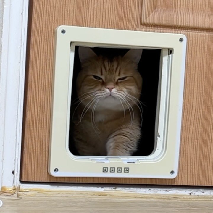 im_deokbae 게시물 이미지: 제목 : 어둠속의 뽕주댕이 ㅋㅋㅋ
덕배 팬미팅 3회차 브이로그 업로드...