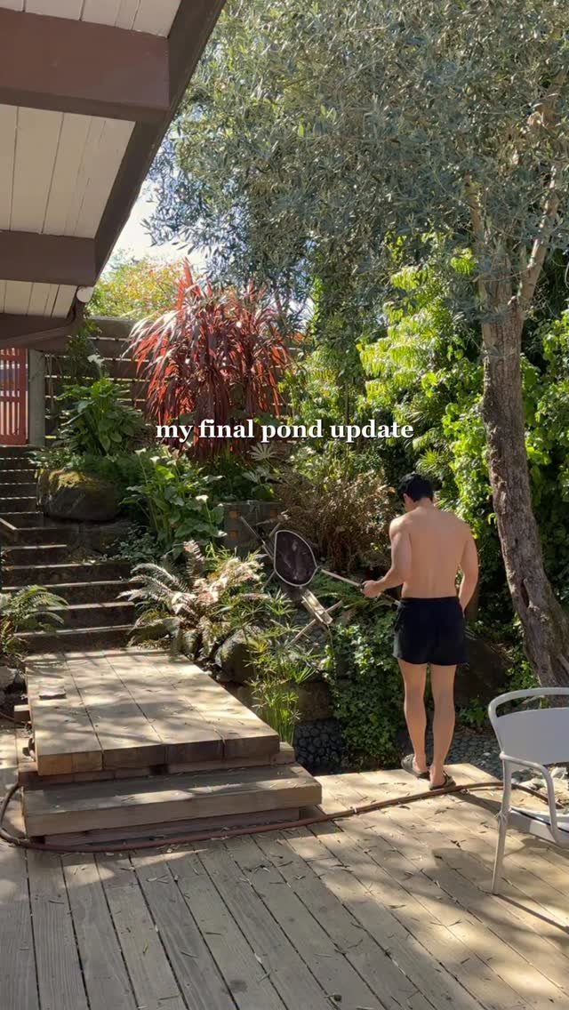 im_ericwang 게시물 이미지: My final pond update after losing all my fish...
