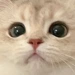 oat.nua 프로필 사진