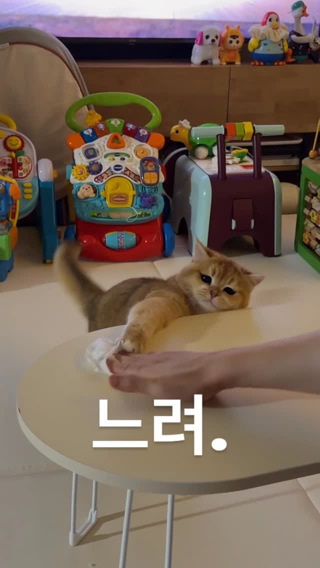 im_keumdong 게시물 이미지: .
이렇게 사냥속도 느린 고야미 처음봐요