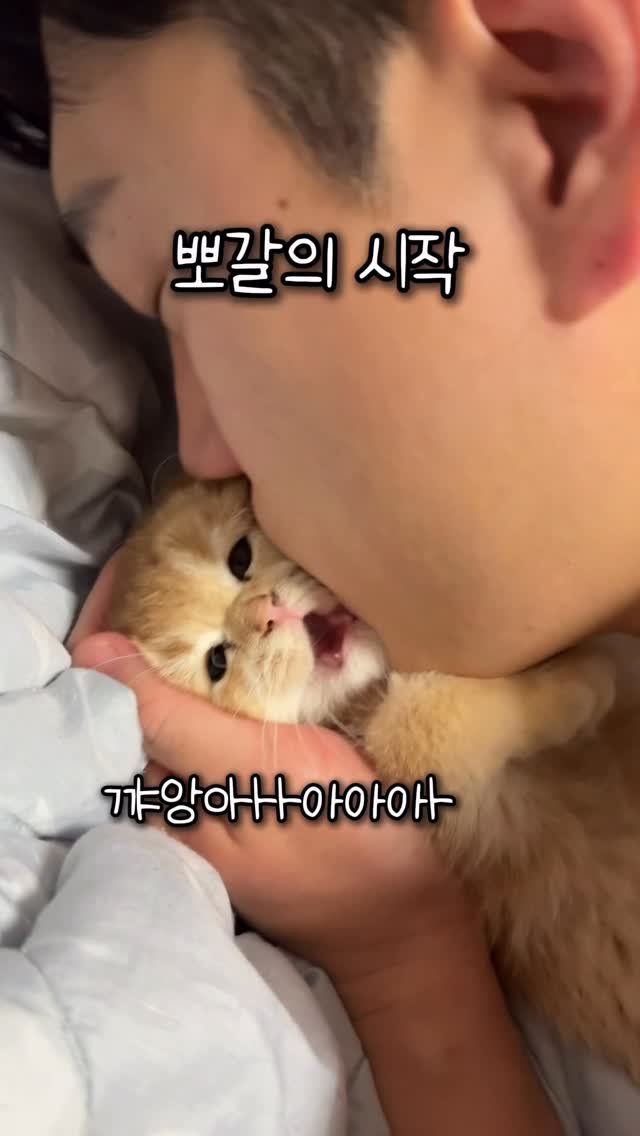 im_keumdong 게시물 이미지: .
원조 뽀갈 영상 다시 올려보기
지금의 뽀갈은 뽀갈 조기교육 덕에 가능한 것입니다
다들 뽀갈하십쇼
