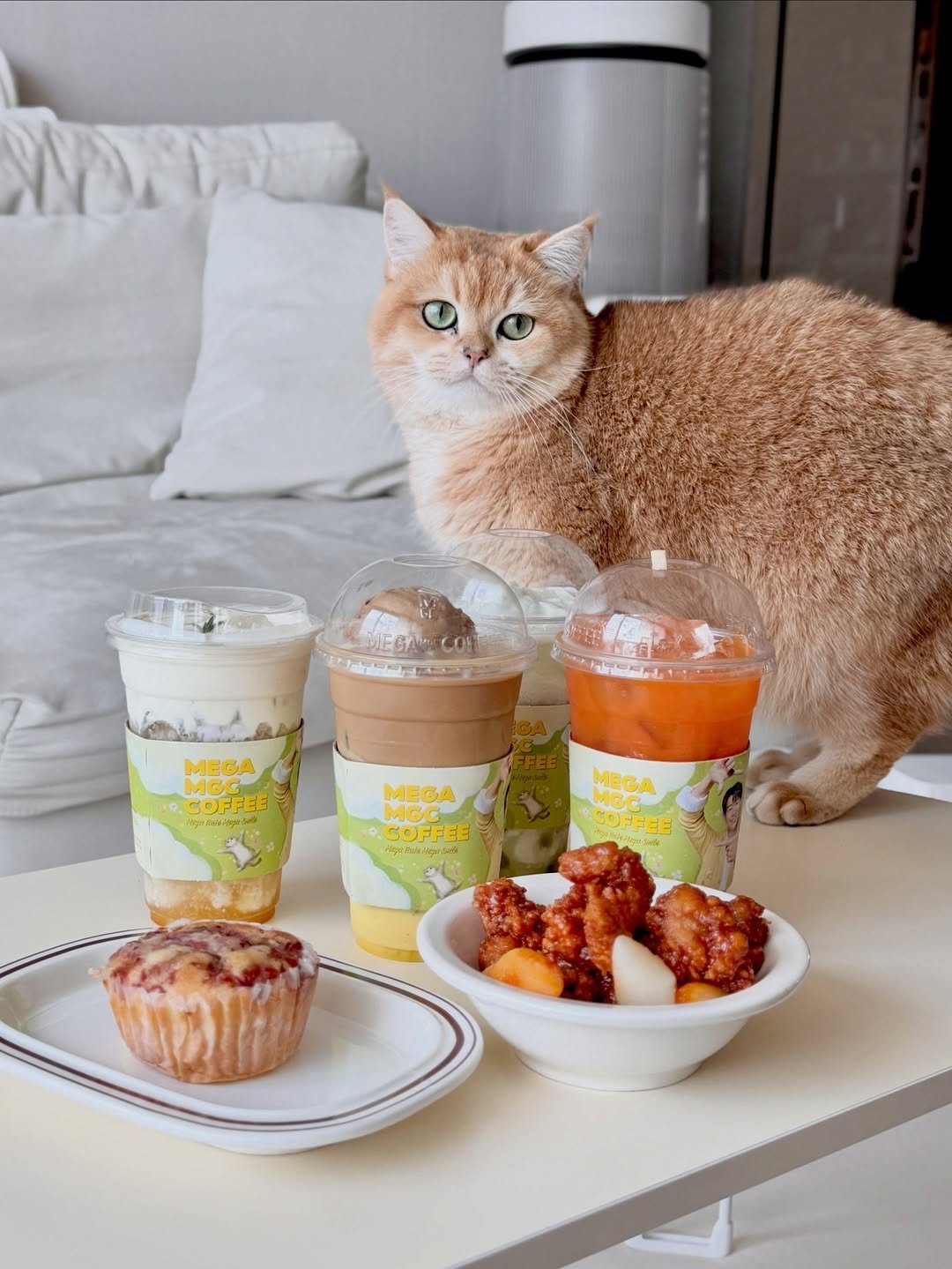 Photo by 금동 on March 18, 2026. May be an image of Abyssinian cat, croquette, scone, fritter, smoothie and text.