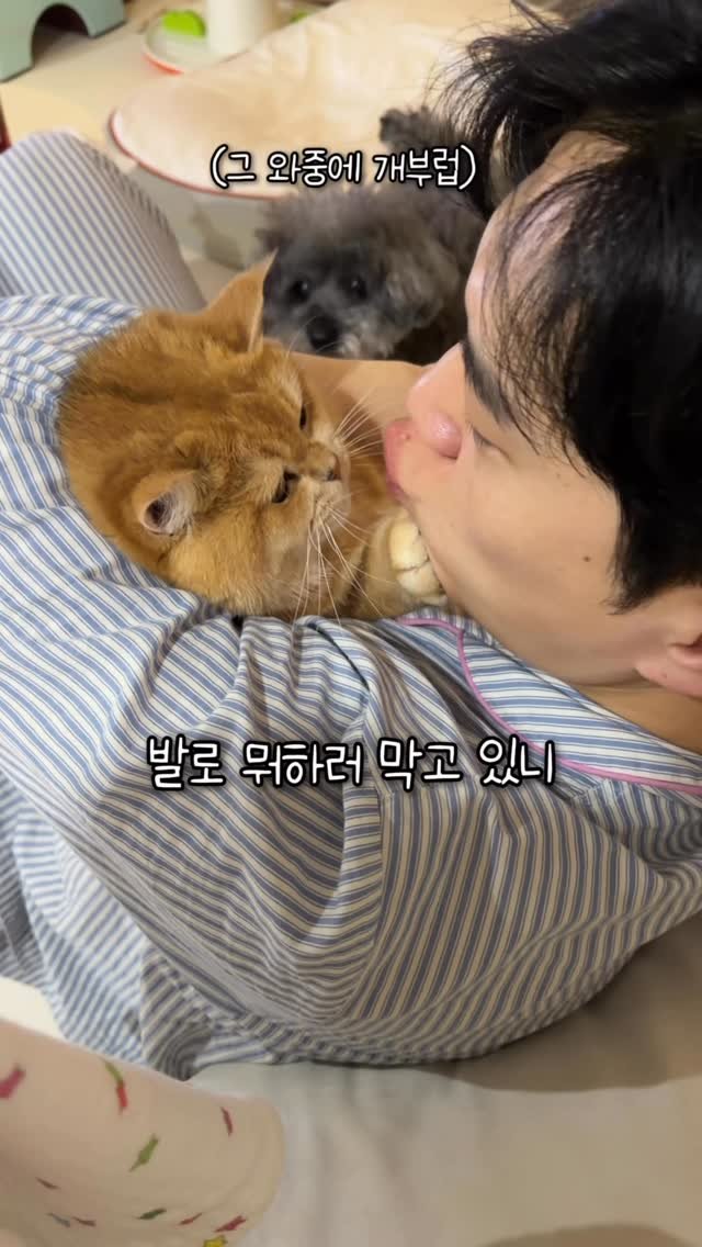 im_keumdong 게시물 이미지: .
뽀갈 영상 올리다보면 얼굴에 털 안 붙는지,
입에 털 안 들어가는지 궁금해...