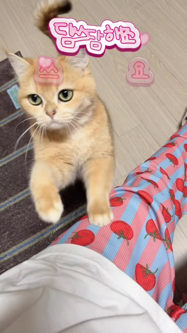im_keumdong 게시물 이미지: .
당장 날 쓰담쓰담하라!!!!!