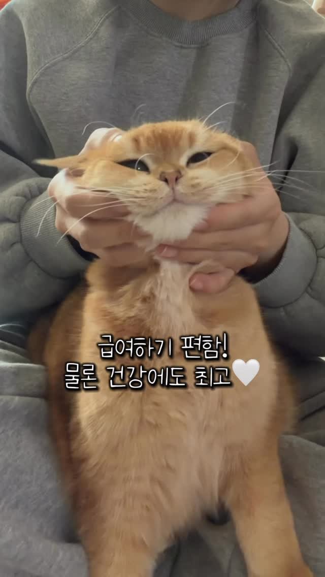 im_keumdong 게시물 이미지: #협찬
여러분들 지금 조공(@chogong_official )에서 
대박 세일 하는...