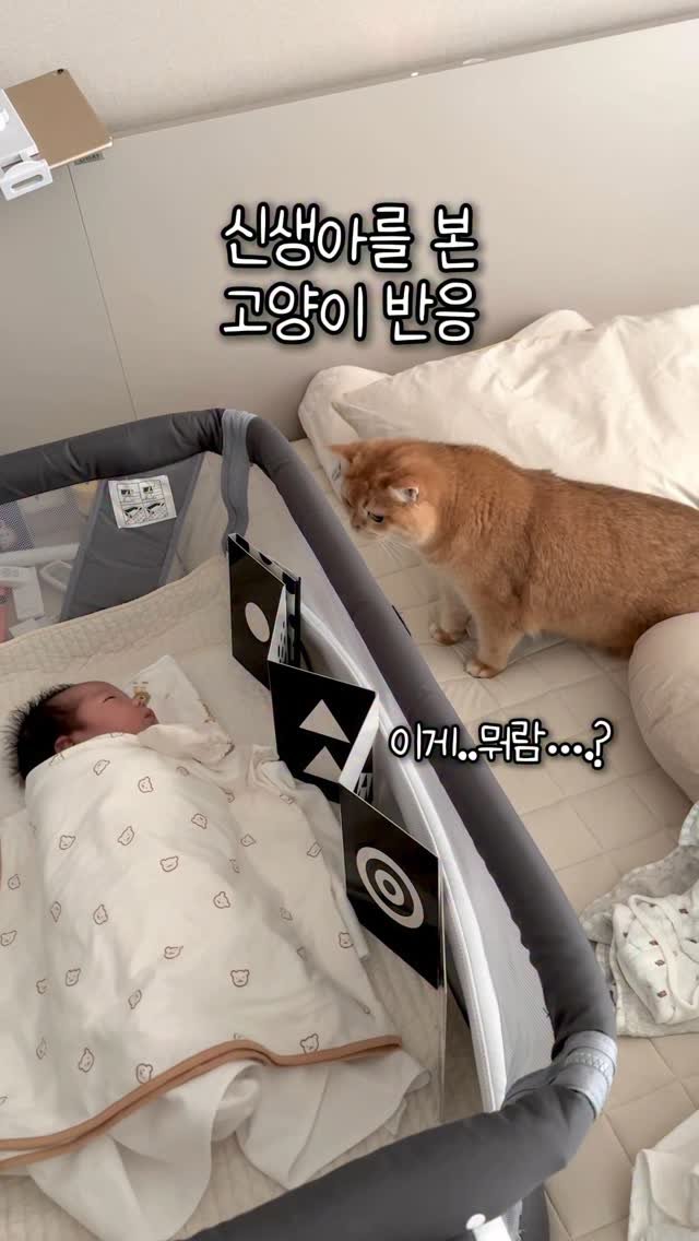 im_keumdong 게시물 이미지: .
이금동 드디어 후임을 마주하다…!!!!