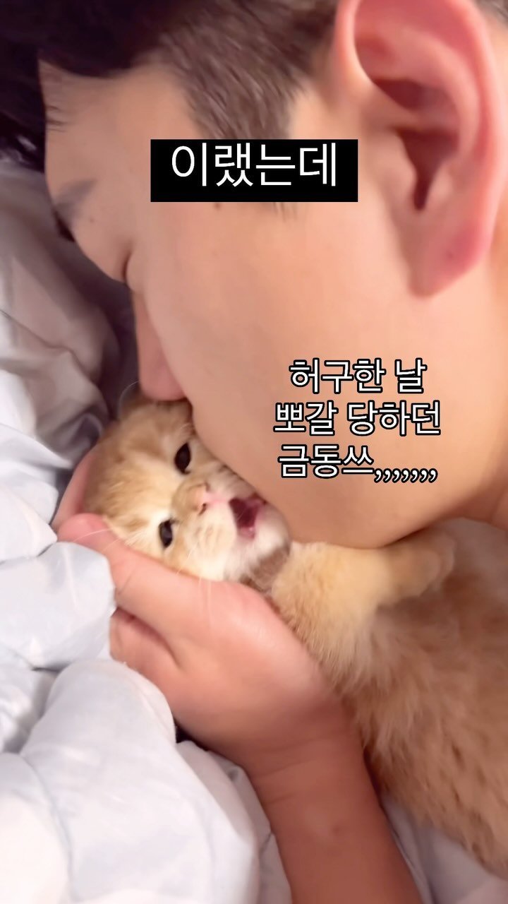 im_keumdong 게시물 이미지: 이제 뽀갈 당하면 3초쯤은 저항하는 금동쓰