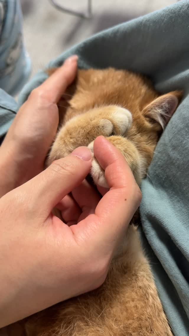 im_keumdong 게시물 이미지: .
금동쓰 지금보다 더 순한맛이 었던 시절😌