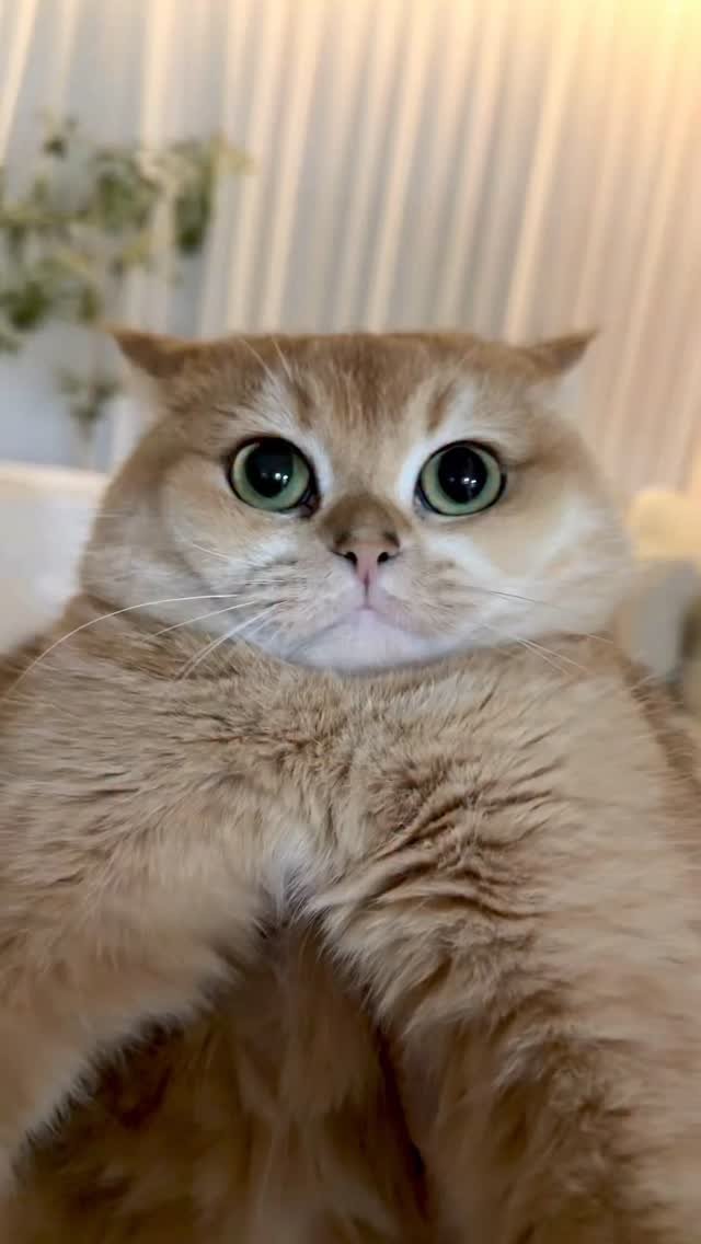 im_keumdong 게시물 이미지: .
다들 압빠 뽀갈을 더 좋아한다
엄마는 이런거나 찍어야갰다