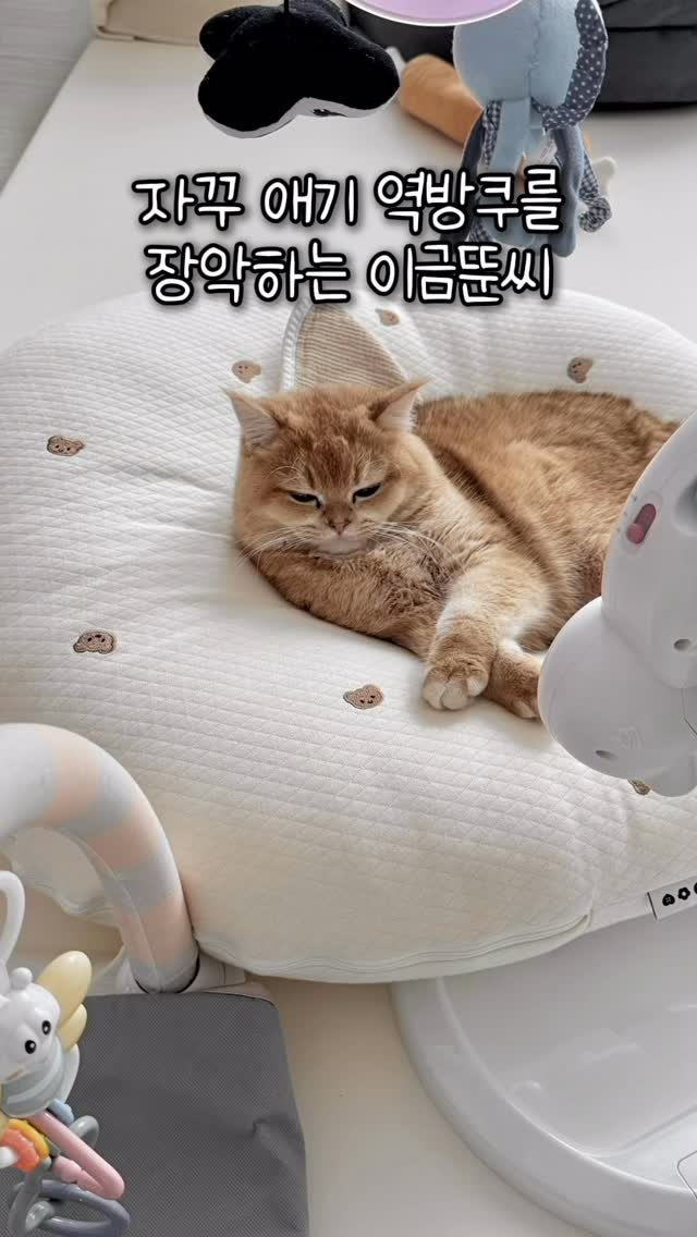 im_keumdong 게시물 이미지: 그니까 공동육하 하자고……응?