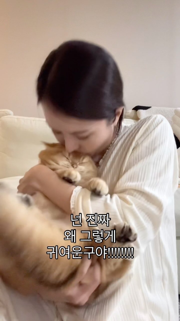 im_keumdong 게시물 이미지: 뽀갈,, 참을 수 없는 유혹,,,,

.
.
.
#금동이 #브리티쉬숏헤어...