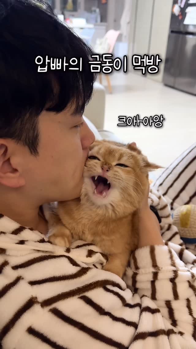 im_keumdong 게시물 이미지: 다들 새해 복 많이 받으세요오🫶🏻