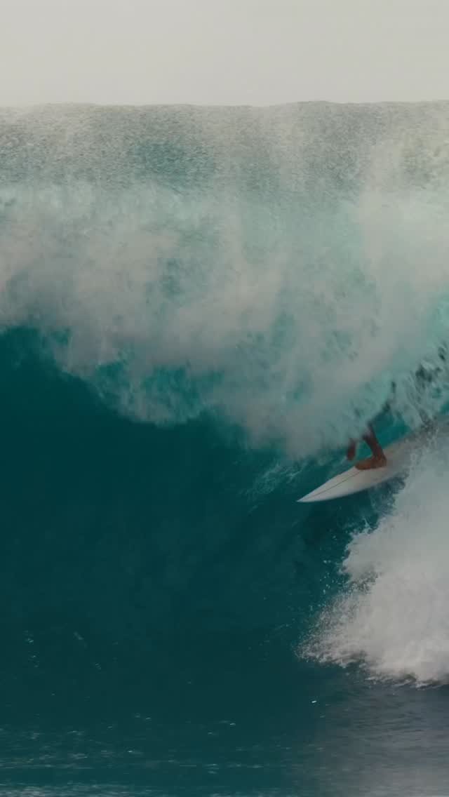 imaikalani_devault 게시물 이미지: Goat trail 🎥 @myleslaurion