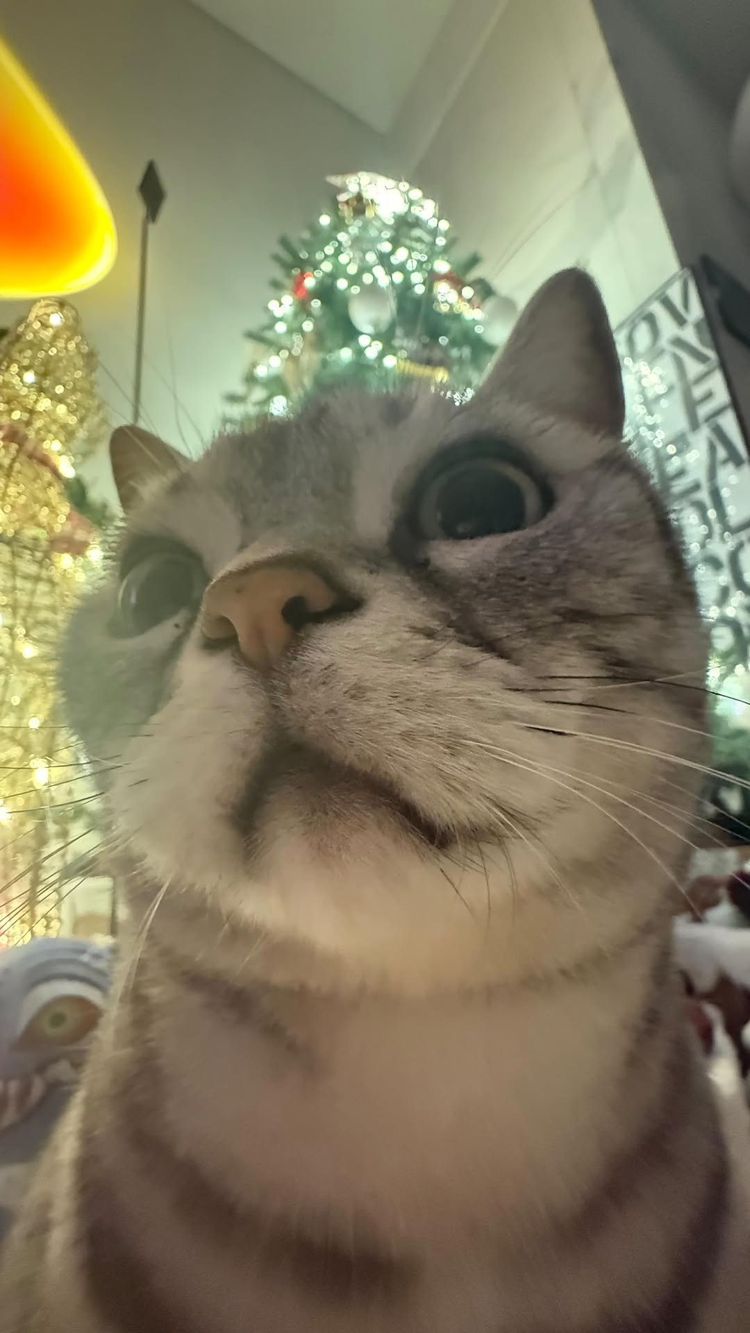 imhyoseop 게시물 이미지: Merry Christmas🎄✨