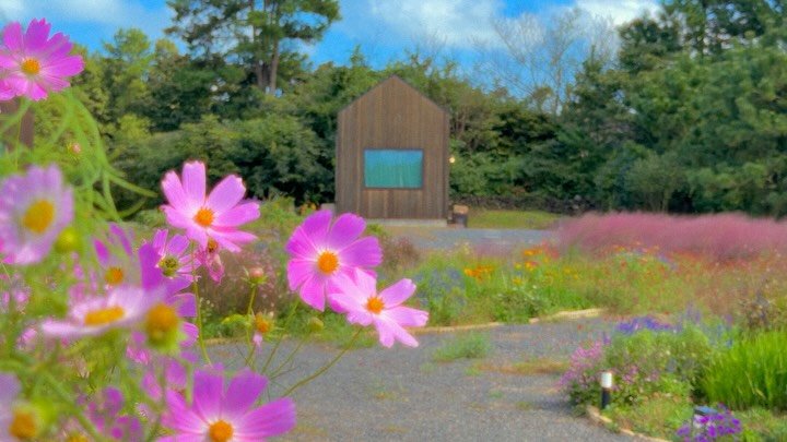 immi_stay 게시물 이미지: 돈은 없지만, 신체는 건강하여

400평 맨땅에 

흙과 파쇄석을 수레로 나르고...