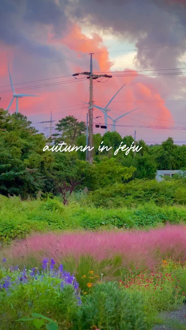 immi_stay 게시물 이미지: 밤 늦게 체크인 하면 이 풍경을 놓쳐요🫣

일찍 체크인해서 가을 만끽하시고

밤에는...