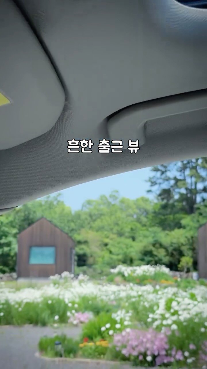 immi_stay 게시물 이미지: 출근뷰 미쳤다……🩵 5월 #실시간 

#임미임미 #제주숙소 #스냅촬영 #가드닝