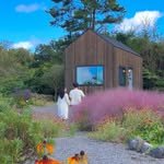 immi_stay 인스타그램 프로필 사진