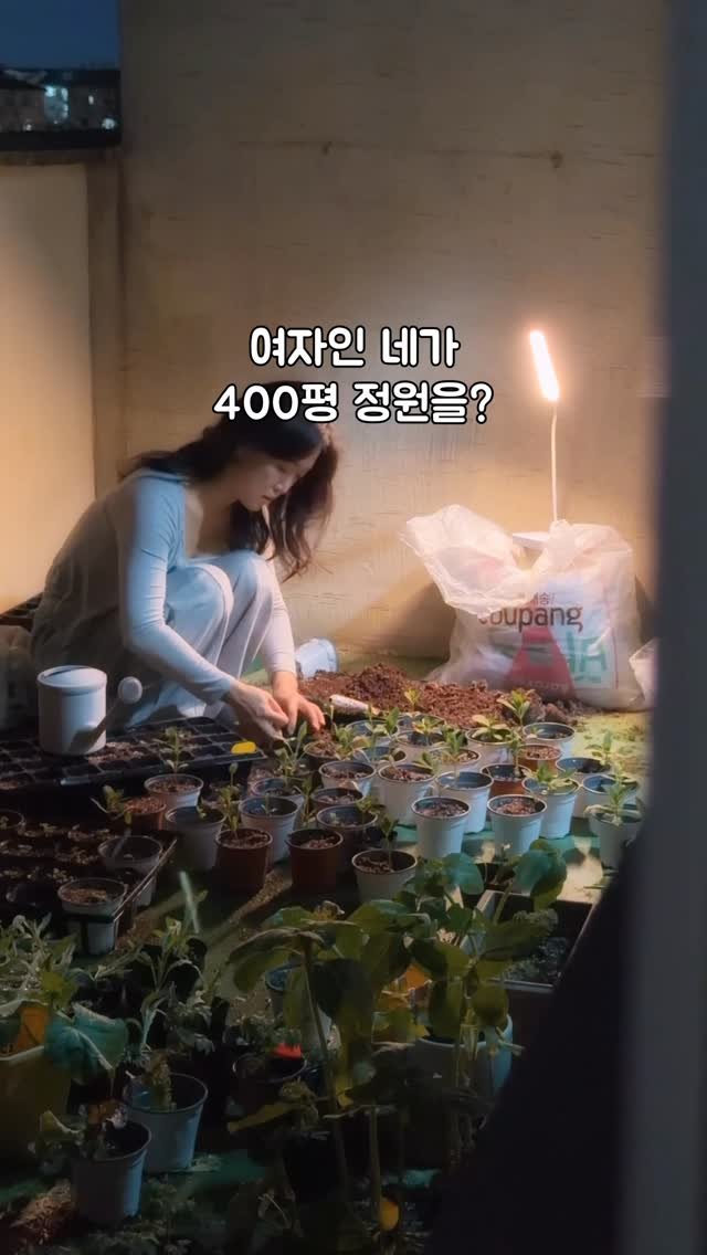 immi_stay 게시물 이미지: 단 하나의 비결이 있습니다

아름다운 정원을 만들 수 있었던 단 하나의...