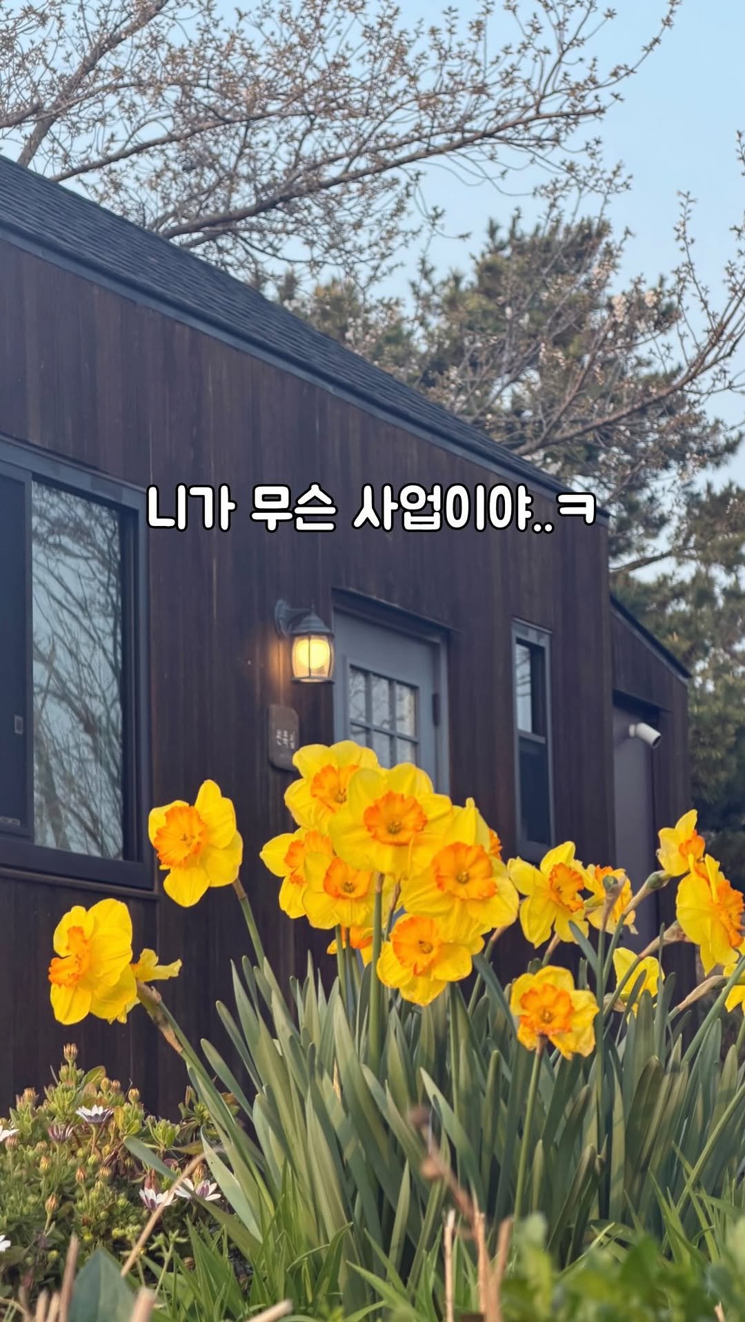 immi_stay 게시물 이미지: 저도 제가 여기까지 올 줄 몰랐어요!

29살, 인생 망한 줄 알았던...