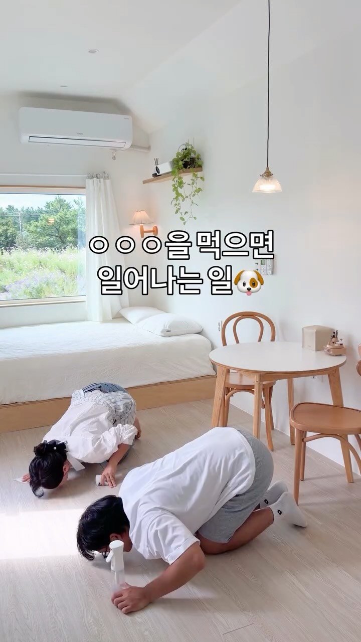 immi_stay 게시물 이미지: ㅇㅇ은 무엇일까요?

1. 딱새우🦐, 매운탕🐠, 고등어구이🐟
2. 민트초코

아무리...