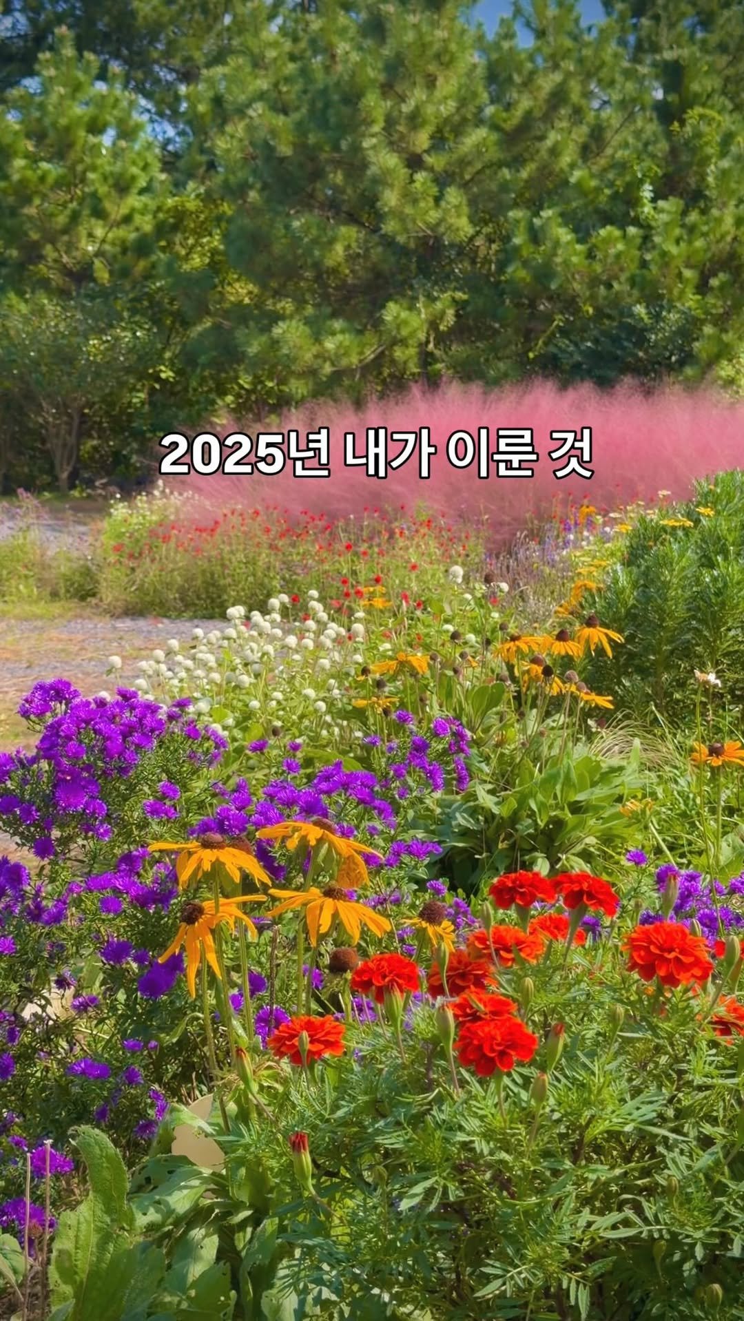 immi_stay 게시물 이미지: 삶의 80~90%는 내 뜻대로 

되지 않는다고 합니다.

하지만

내가 선택할 수...