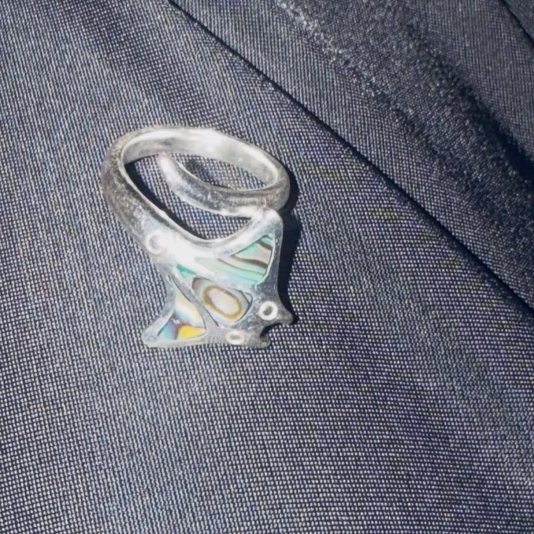 Photo by NINGNING on March 04, 2026. May be an image of ring and text.