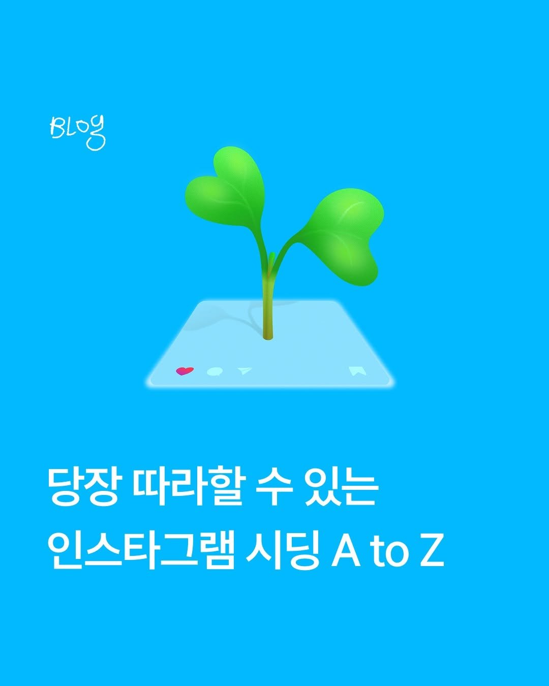 Photo by 아임웹 on May 29, 2025. May be an image of plant.