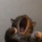 imwinter 인스타그램 프로필 사진