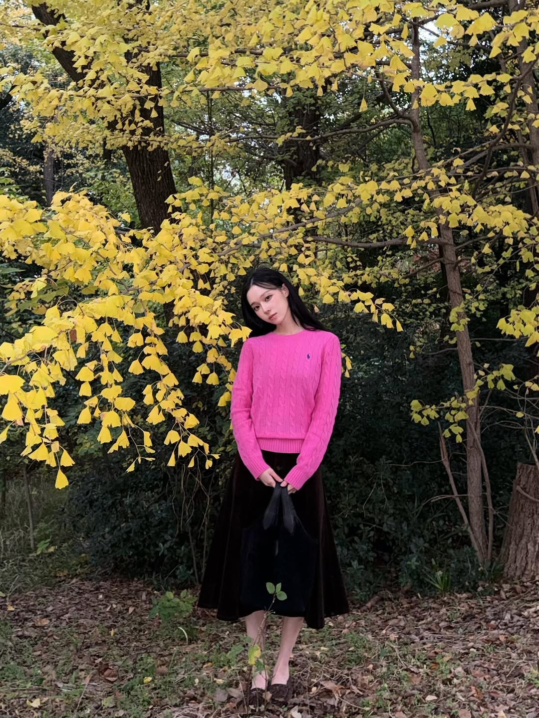 Photo by WINTER on December 24, 2025. May be an image of yellow jessamine, devilwood and text.