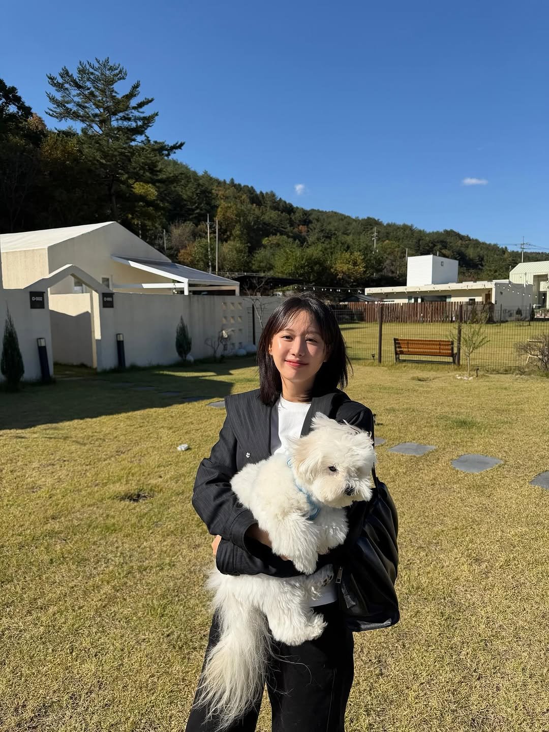 Photo by 인보라 on November 30, 2025. May be an image of Maltese, Samoyed, Bedlington terrier and text.