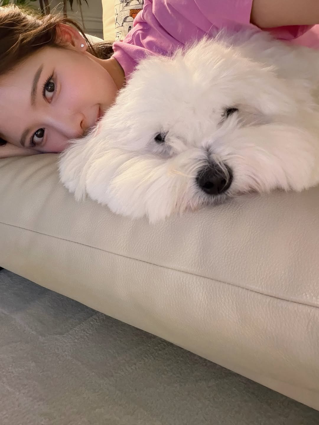 Photo shared by 이나연 on December 23, 2025 tagging @coton__bambi. May be an image of Maltese and text.