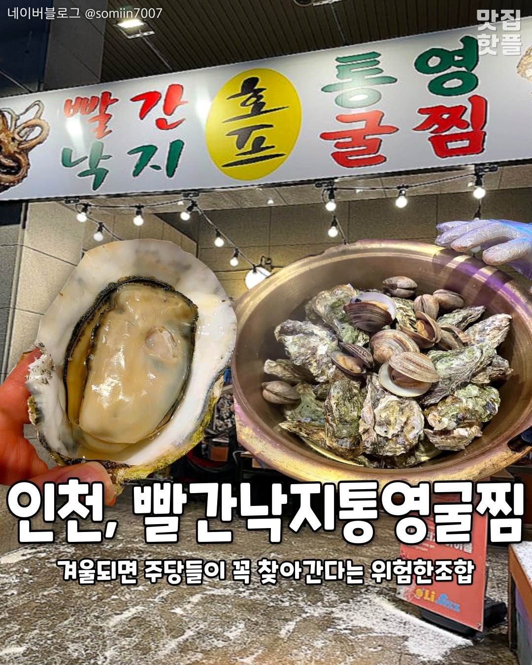 Photo by 인천맛집 인천카페 인천핫플 인천술집 인천명소 on December 26, 2025. May be an image of oyster, shellfish and text that says '네이버블로그 @somiin7007 마직 빨 빨간 간 ស្ញ្វី 핫플 낙 낙지 7-1 無 喜号 박감순출럼 통 인천, 빨간낙지통영 영굴찜 겨울되면 주당들이 꼭 찾아간다는 간다는 위험한조합 -4OLi'.