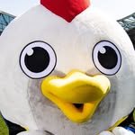 iufc_utee 프로필 사진