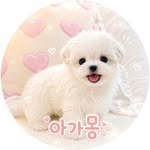 agamong_world 프로필 사진
