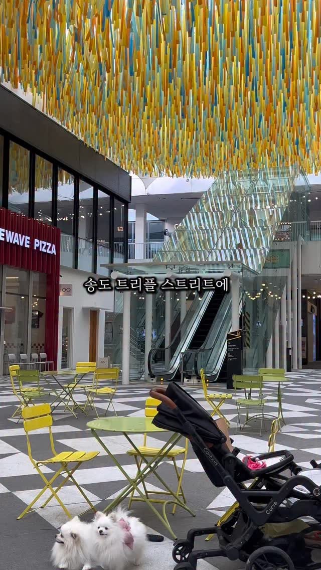 incheon_o32 게시물 이미지: 🙏팔로우는 영상제작에 큰 도움이 됩니다💕

내가 먹어본 오꼬노미야끼 세손가락 안에...