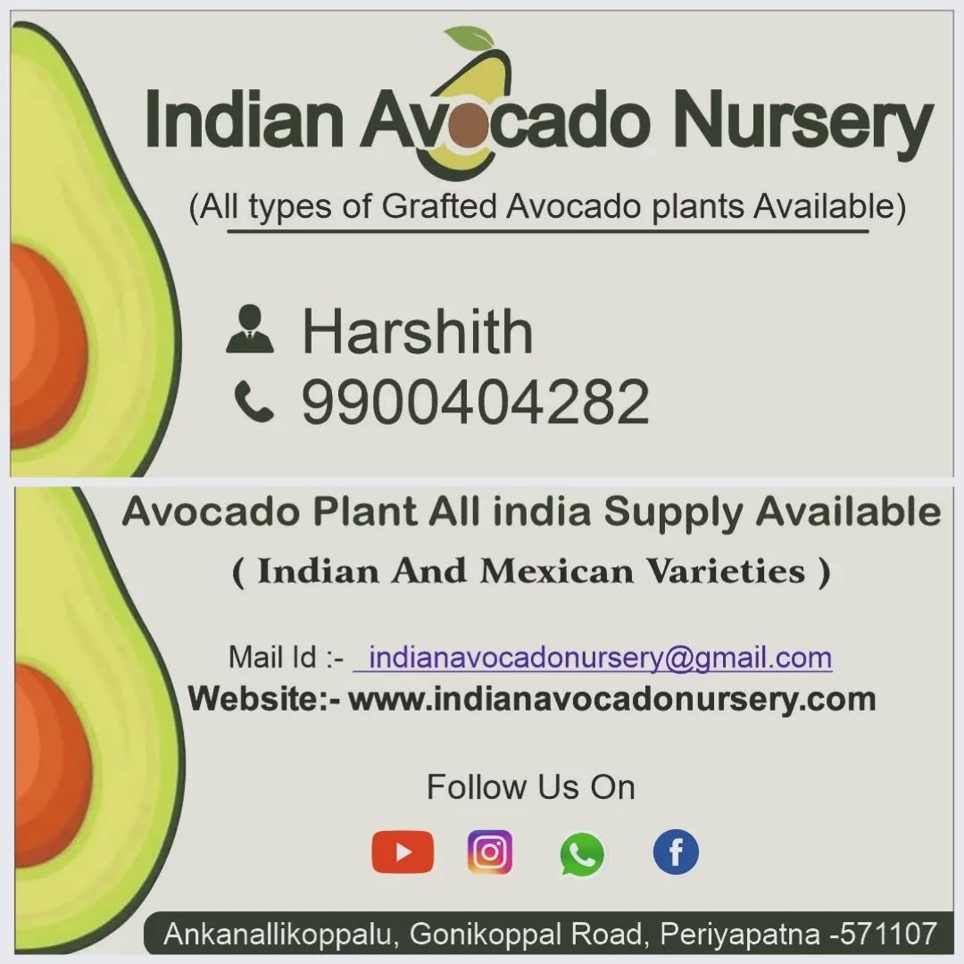 indian_avocado_nursery 게시물 이미지: Visiting Card 🥑

#indianavocadonursery...