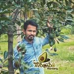 indian_avocado_nursery 인스타그램 프로필 사진
