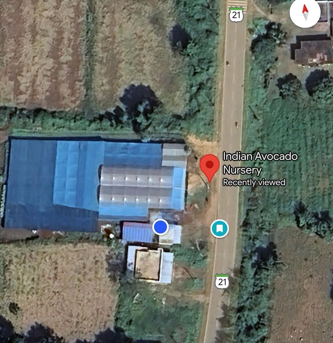 indian_avocado_nursery 게시물 이미지: Google map View 🌏🗺️🔥🥑

Contact:- Harshith B...