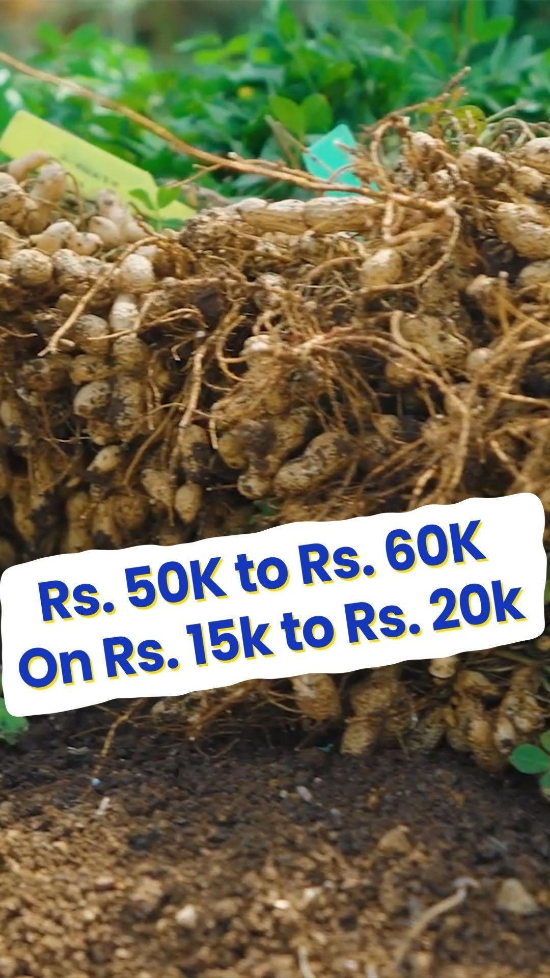 indianfarmer.courses 게시물 이미지: ₹15,000 लगाकर ₹60,000 का PROFIT...