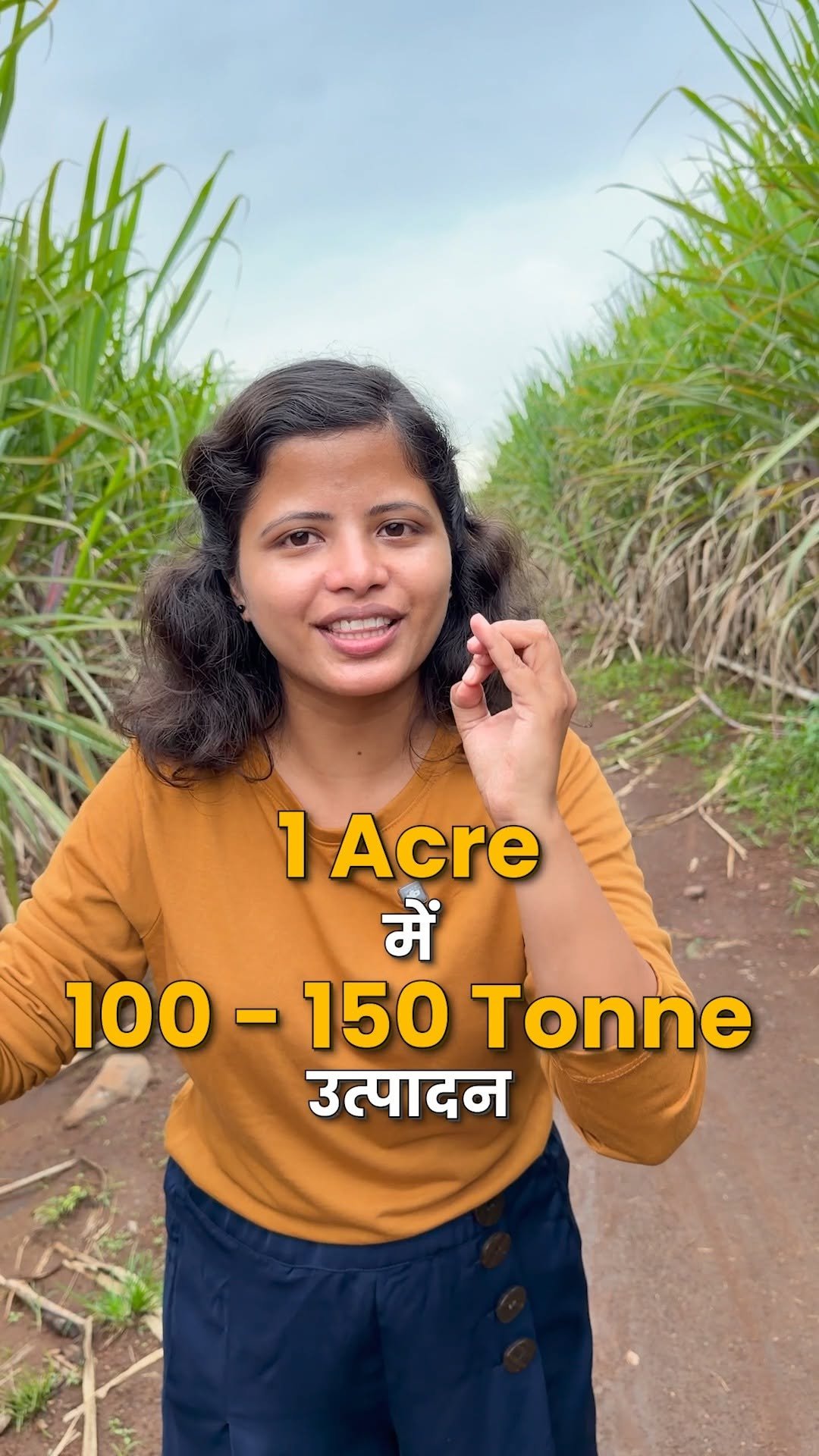 indianfarmer.courses 게시물 이미지: 150 टन गन्ना वो भी सिर्फ़ एक एकड़ में...