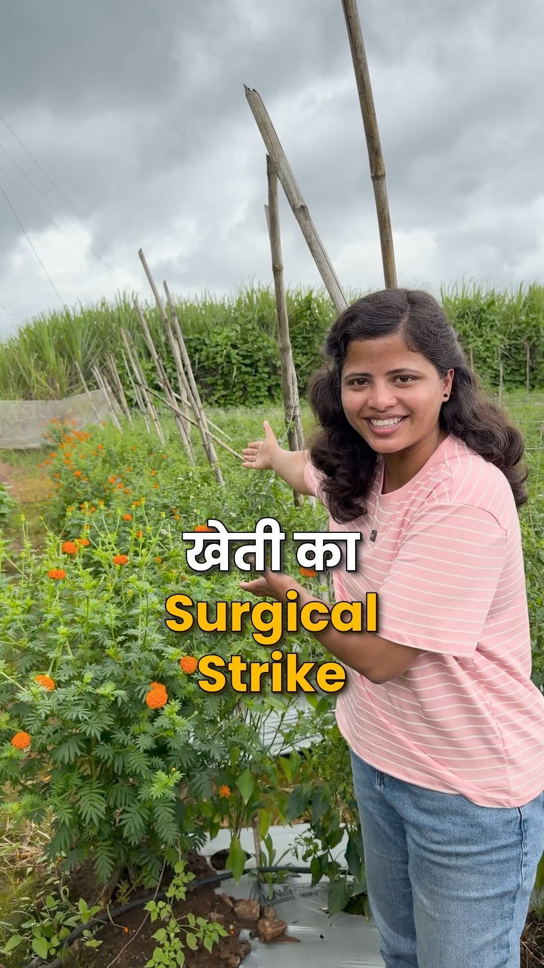 indianfarmer.courses 게시물 이미지: गेंदे का पौधा बचाएगा खेत को 🌿😲

#IndianFarmer...