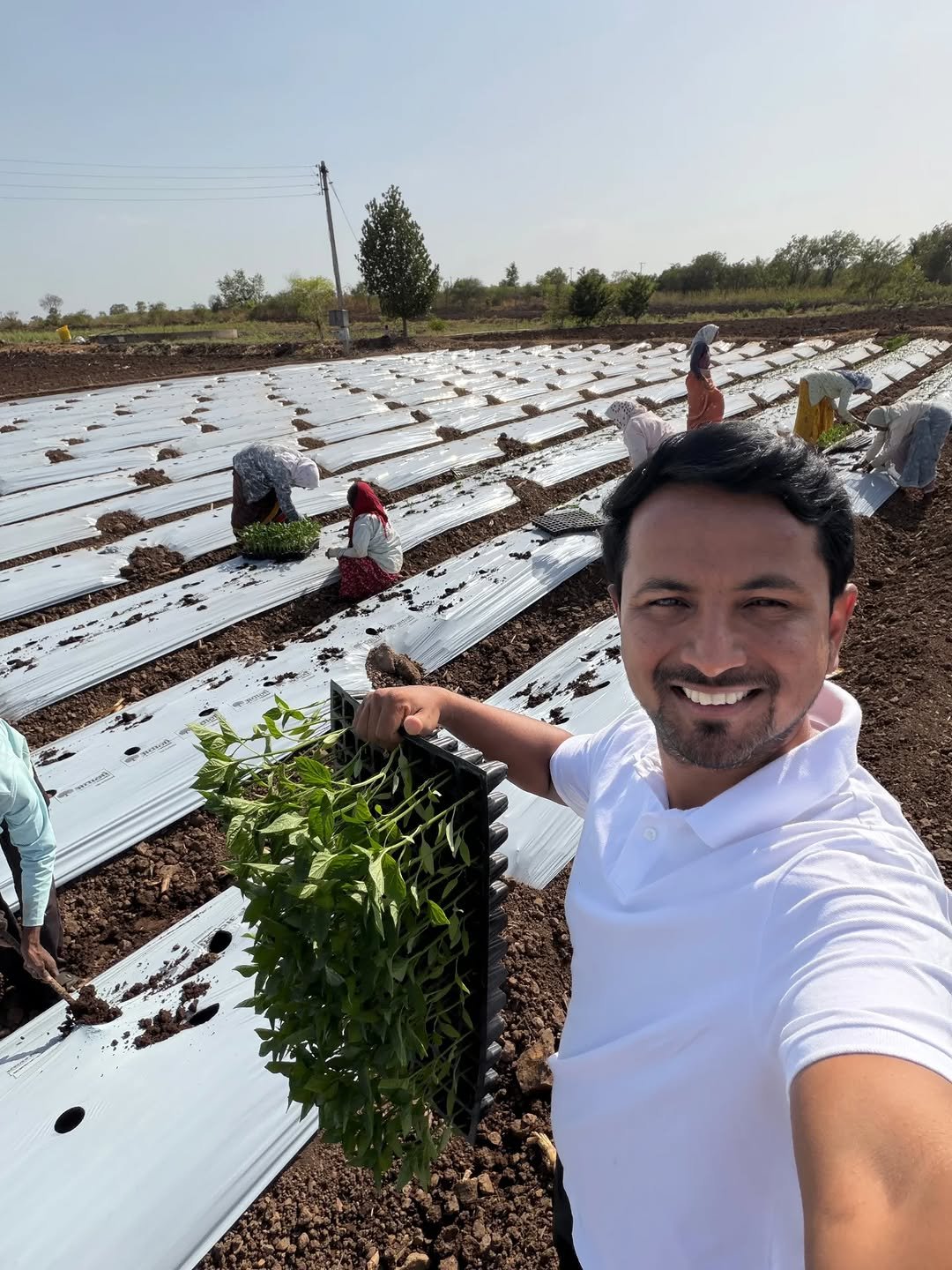 indianfarmer.courses 게시물 이미지: गेल्या 10-11 वर्षांपासून एकही वर्ष असं गेलं...