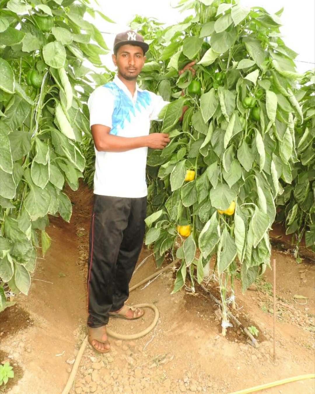 Photo by Santosh Jadhav on December 23, 2024.