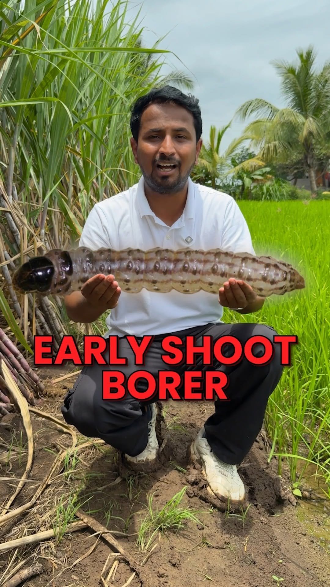 indianfarmer 게시물 이미지: एक वार, दो दुश्मन OUT⚔️🛡️
अब ADAMA के Forpido...