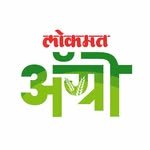 lokmatagro 프로필 사진