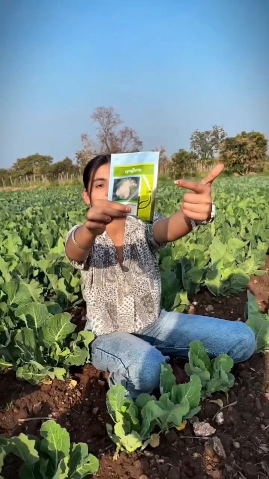 indianfarmergirl 게시물 이미지: Top 4 Cauliflower Variety 🥬🔥